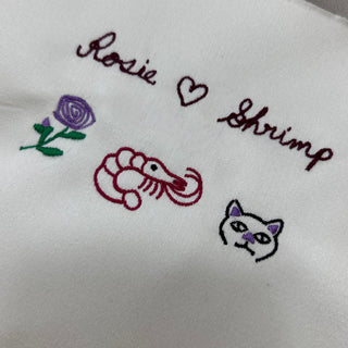Embroidered handwritting and drawings on fabric