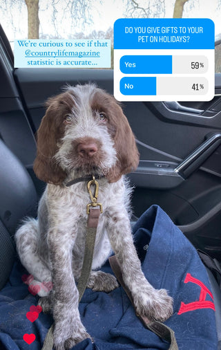 Monogrammed Gifts for Furry Friends