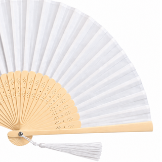 Bamboo Fan
