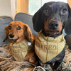 Olive Monogrammed 100% Tweed Wool Dog Bandana on two Sausage Dogs